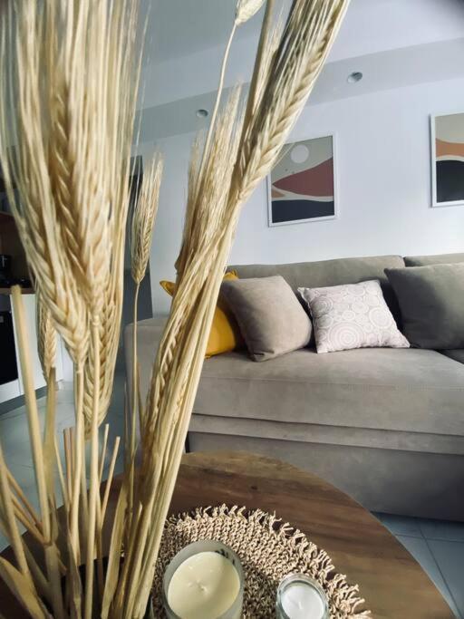 Barkon Apartment Yanya Dış mekan fotoğraf